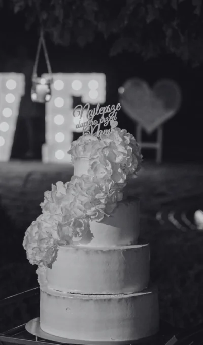 dom-weselny-natalia (8)